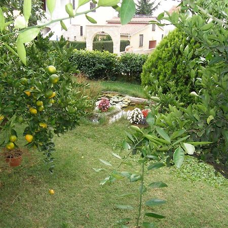 Family House With 2 Apartments - Irma Medulin Exterior foto